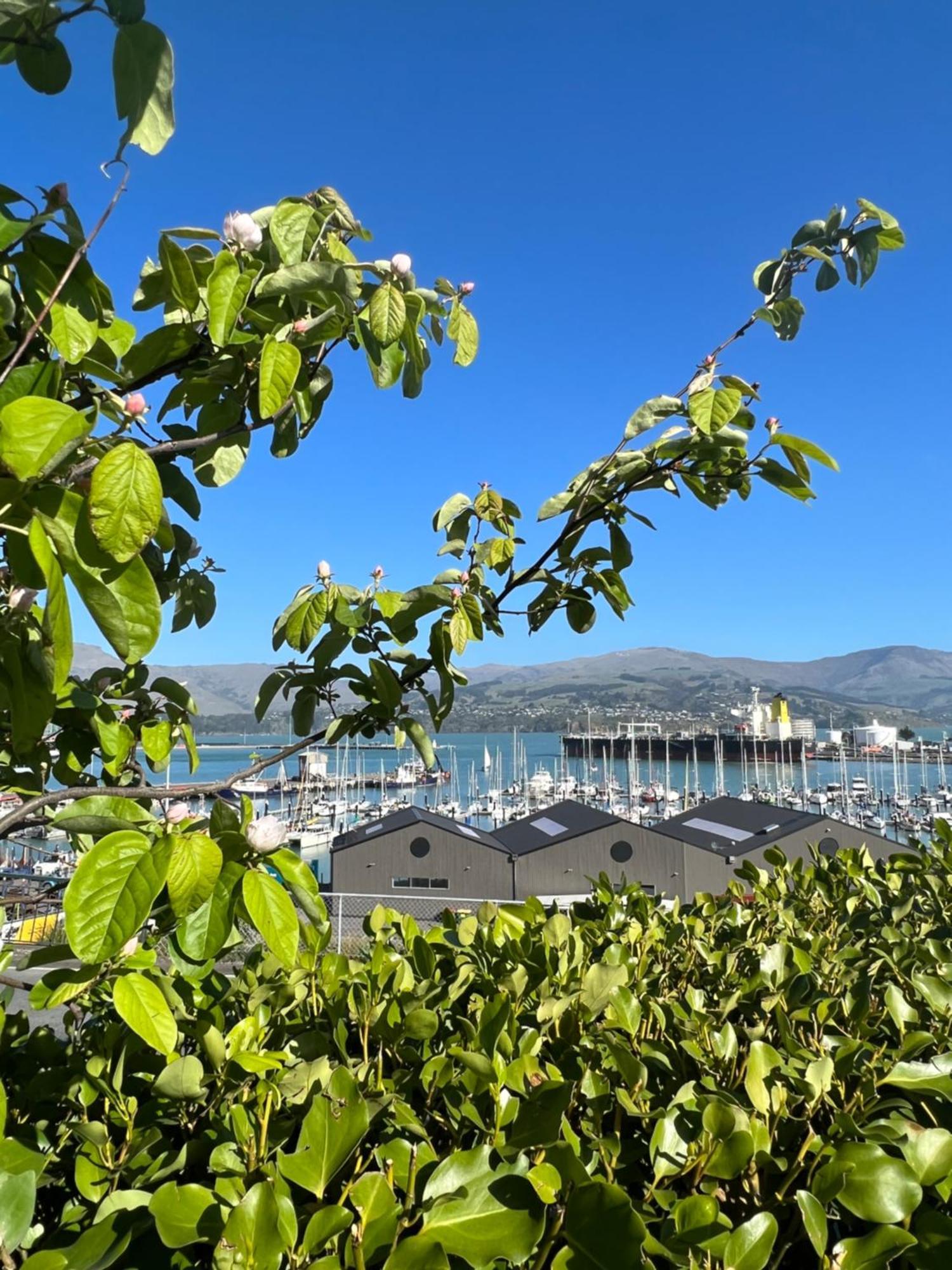Sea Views In Luxury At Lyttelton Boatique House - 14 Km From Christchurch Εξωτερικό φωτογραφία